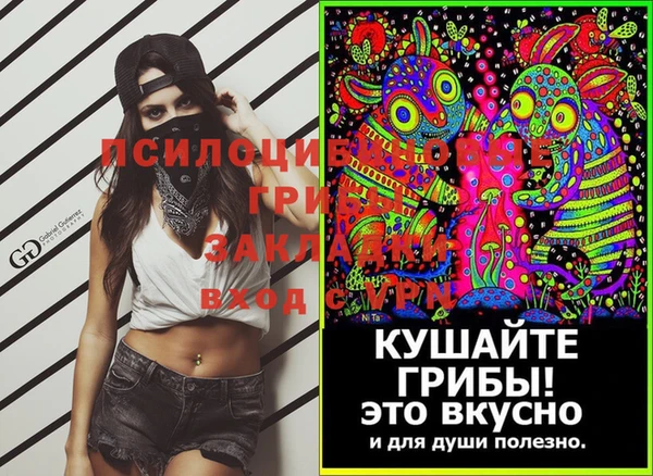 шишки Козловка