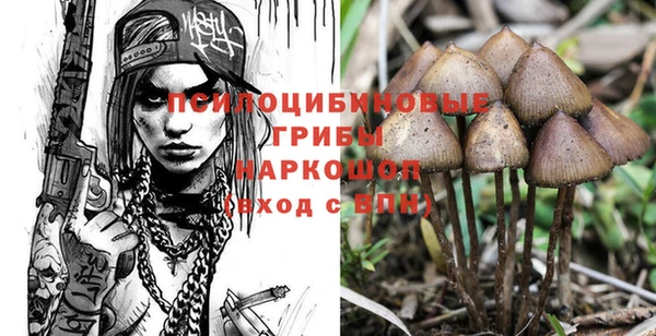 прущая мука Алзамай