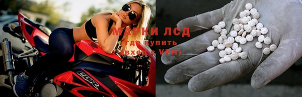 молекула духа Гусев