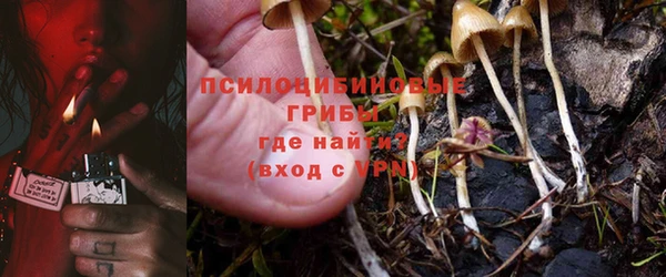 прущая мука Алзамай